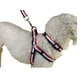thumbnail image 2 of Correa, Arnés Y Collar Para Perros De Razas Pequeñas, 2 of 3