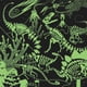 thumbnail image 3 of Puzle Mudpuppy: dinosaurios iluminados de 500 piezas que brillan en la oscuridad, 3 of 9