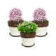 thumbnail image 1 of Set de 4 Maceta Greta 22cm Blanca y sus platos, 1 of 3