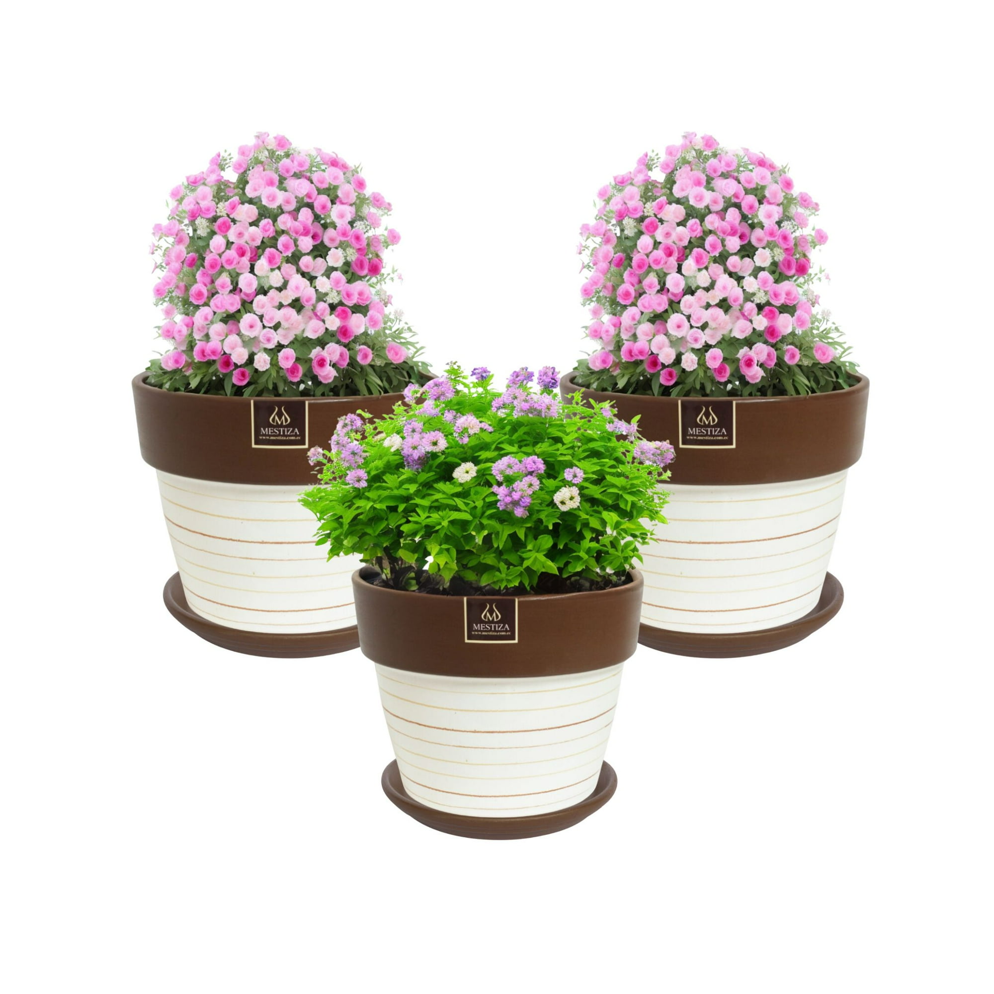 Pottery - Set De 4 Maceta Greta 22cm Blanca Y Sus Platos