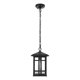 thumbnail image 1 of Lámpara Colgante Exterior Elegant Lighting Harley 12 Negra, 1 of 9