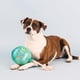 thumbnail image 3 of Juguete de peluche para perros Fringe Studio I Pawty You Pawty Pet Shop, 3 of 6