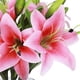 thumbnail image 2 of Paquete De 5 Flores Artificiales De Lirio De Tacto Real, Flores Falsas Para Boda, Hogar, Fiesta, Jardín, Tienda, Oficina, Decoración De Flores De Lirio De Plástico Falso., 2 of 7