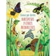 thumbnail image 2 of Conoce Por Dentro - Mariposas Y Otros Animalitos, 2 of 3