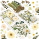 thumbnail image 1 of Kit De 100 Piezas Para Manualidades Naturales Prensadas Con Flores Secas, 1 of 9