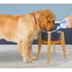 thumbnail image 4 of Soporte de bambú para perros ZPirates, ajustable, 30 cm de altura, 4 of 9