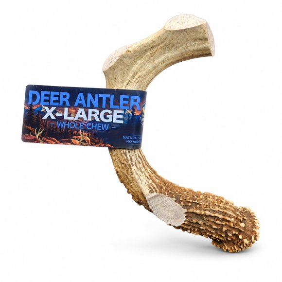 Mordedor de Cornamenta de Ciervo High Country Antlers Extra Grande Entero
