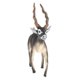 thumbnail image 4 of Modelo De Animal Figura De Juguete Figuras De Animales Realistas Decoración Del Hogar 7.8x2.1x8.2cm, 4 of 5