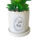 thumbnail image 2 of Planta Decorativa Good To Be Home Maceta Blanca, 2 of 4