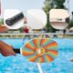 thumbnail image 4 of Juego de 6 palas de Pickleball PYD Life 19 x 39 cm para sublimación, 4 of 6