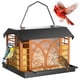 thumbnail image 1 of Comedero para aves Grete Gotye de metal colgante, capacidad de 1.6 kg, para exteriores, 1 of 9