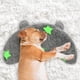 thumbnail image 2 of Brillo en la oscuridad almohada suave para perros medianos, almohada en forma para gatos y perros, juguete y regalo para perros lavables en la máquina (gris lunar, L), 2 of 3