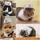 thumbnail image 2 of Disfraz de marinero para mascotas NAMSAN para gatos y perros pequeños, 2 of 6