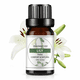thumbnail image 5 of Aceites Esencias Aromáticas Set 6 Fragancias  10ml, 5 of 10