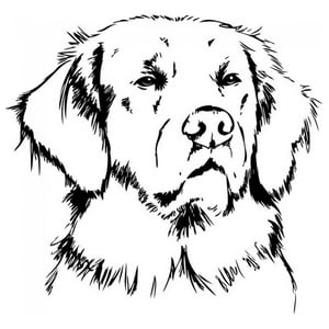 Rienda Libre Graphics - Decomural Golden Retriever Dog Ws-32852