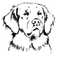 Rienda Libre Graphics - Decomural Golden Retriever Dog Ws-32852