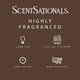thumbnail image 3 of Cera fundente Scentsationals 283 g aroma Cashmere, 24 cubos, 3 of 5