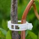thumbnail image 5 of Tomato Clips BLOWING, 150 unidades, para soporte de plantas, jardín y vid., 5 of 9
