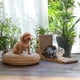 thumbnail image 5 of Cat Scratcher FUKUMARU en forma de L montado en la pared con pelota de juguete, 5 of 9