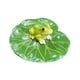 thumbnail image 5 of Figura Flotante De Hoja De Nenúfar Con Rana De 10 X 4 Cm Para Rocallas De Patio, 5 of 5