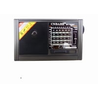 Genérico - Radio Multibanda Bluet 8 Bandas Con Linterna Recargable