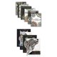 thumbnail image 3 of Set de 10 Libros de Colorear Deluxe para Adultos Crenstone, 3 of 9