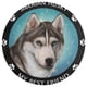 thumbnail image 3 of Husky Siberiano Alfombra Redonda de Felpa Coral, Antideslizante, No Desprende Pelusas, Lavable y Duradera para Salón, Dormitorio y Habitación de Niños 60cm, 3 of 6