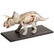 thumbnail image 2 of Modelo Anatómico Famemaster Triceratops 19 cm Visión 4D, 2 of 3