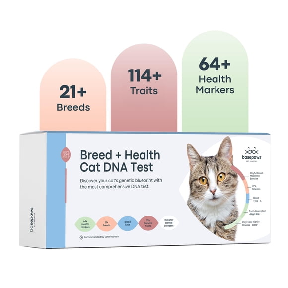 Kit de prueba de ADN para gatos Basepaws, análisis integral de raza y salud