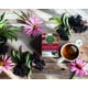 thumbnail image 5 of Té Tradicional Medicinals Immune Zoom con saúco y equinácea, 5 of 7