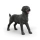 thumbnail image 1 of Figura de juguete Schleich Perro Labrador negro 14923, 1 of 5