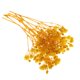 thumbnail image 1 of Hojas prensadas Flores secas naturales Tarjetas Scrapbooking haciendo amarillo, 1 of 5