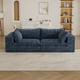 thumbnail image 3 of Y137-2SEATER-BLUE, 3 of 3