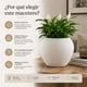 thumbnail image 5 of Set 2 Maceteros Plastico Redondo Ovalado Moderno Textura L blanco, 5 of 9
