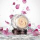 thumbnail image 4 of Crema de rescate nocturno Charlotte Tilbury Magic 50 ml, 4 of 9