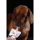 thumbnail image 3 of Mantequilla de Maní para Perros Elquinuts en Pouch de 90g. PACK DE 5 UNIDADES, 3 of 3