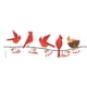 thumbnail image 2 of Vaso térmico Tervis 473 ml Cardinals Tritan transparente, 2 of 9