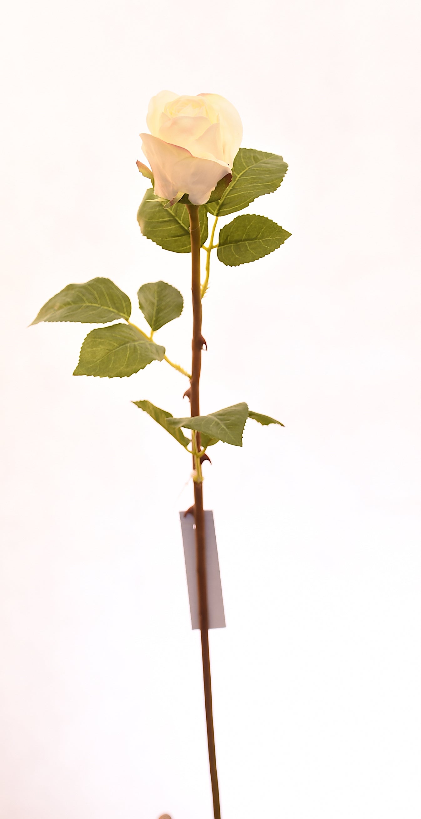 Vadell - Boton Rosa Blanco 51 Cm