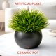 thumbnail image 3 of Plantas artificiales SEEKO suculentas 17 cm (2 unidades) macetas negras, 3 of 6