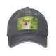 thumbnail image 1 of Sombrero Vaquero Desmarcar Shiba Inu, 1 of 6