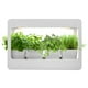 thumbnail image 1 of Huerto de interior led MINIGARDEN, 1 of 2