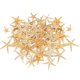thumbnail image 3 of Natural Starfish Seashells Wedding Display Craft Acuario Decoraciones, 3 of 4