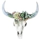 thumbnail image 3 of Escultura De Pared De Cuerno Largo Cabeza De Animal Vivo Figuras De Arte Suculentas S, 3 of 3