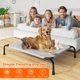 thumbnail image 2 of Cama Elevada para Perros Simple Trending XL Impermeable, 2 of 3