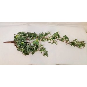 Corel - Hiedra Colgante Inglesa 100 Cm