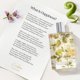 thumbnail image 4 of Perfume Kumbra With Love Sunlit Citrus 100 ml Unisex, 4 of 6
