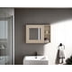 thumbnail image 1 of Botiquin Para Baño Cairo 40x55x12.1 Cm Rovere Con Espejo, 1 of 3
