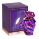 thumbnail image 1 of Perfume Al Haramain, color ámbar natural, unisex, aerosol EDP de 100 ml, 1 of 4
