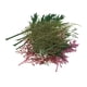 thumbnail image 2 of Flores secas naturales prensadas hojas arte arte 24pcs, 2 of 5