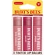thumbnail image 1 of Bálsamo labial Burt's Bees Tinted Red Dahlia, Daisy and Rose x3, 1 of 9